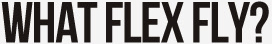 What FLEX FLY?